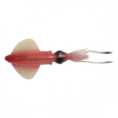 ⁦3D SWIM SQUID⁩ - الصورة ⁦4⁩