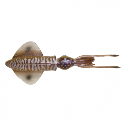 ⁦3D SWIM SQUID⁩ - الصورة ⁦3⁩