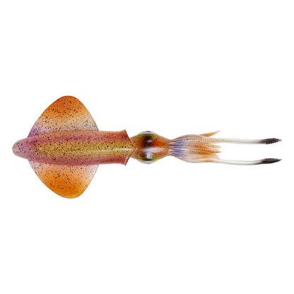 ⁦3D SWIM SQUID⁩ - الصورة ⁦2⁩