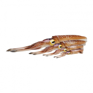 3D SWIM SQUID