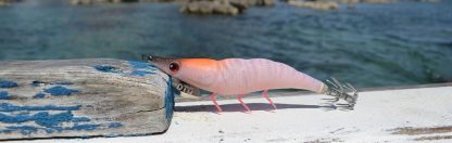 ⁦قربارة RED SHRIMP - DTD⁩ - الصورة ⁦2⁩