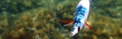 ⁦قربارة WEAK FISH - DTD⁩ - الصورة ⁦5⁩